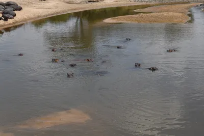 DSC_3633 (Large).JPG